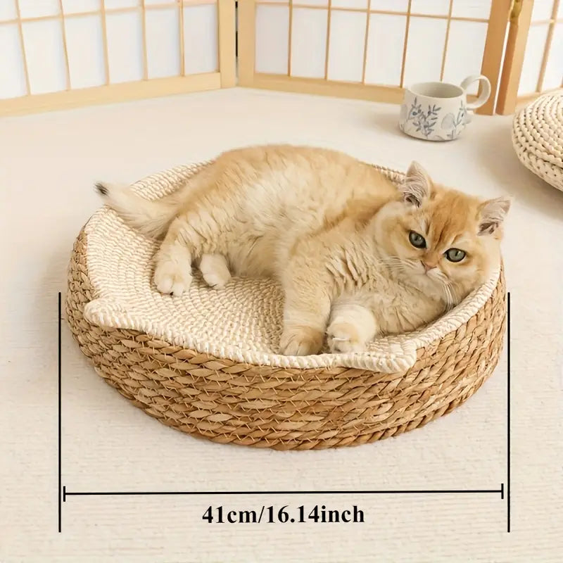 Panier pour Chat en Osier Fait Main | ARIAN
