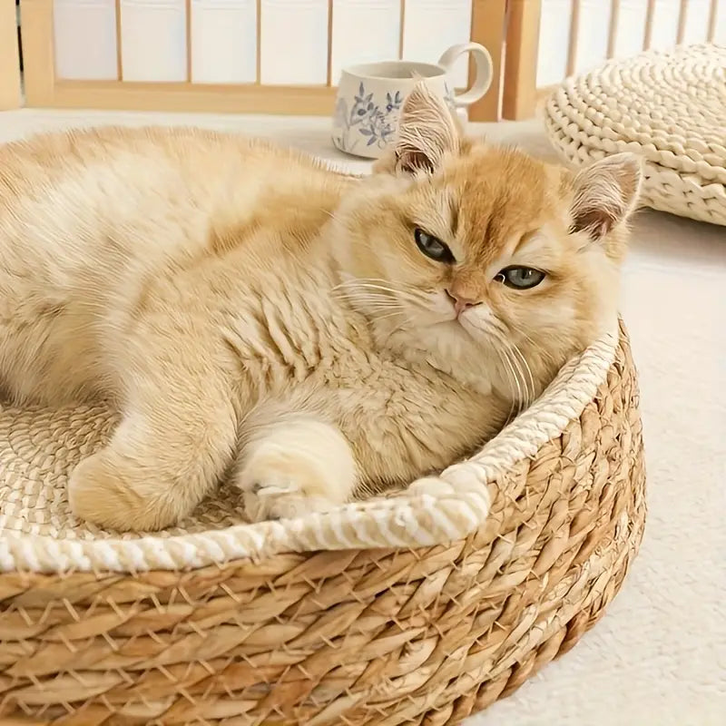 Panier pour Chat en Osier Fait Main | ARIAN