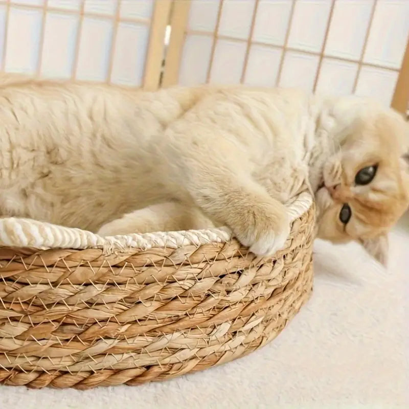 Panier pour Chat en Osier Fait Main | ARIAN
