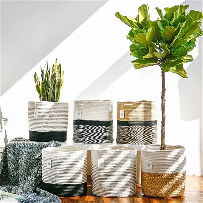 Cache-Pot en Osier Cactus | KÉRA