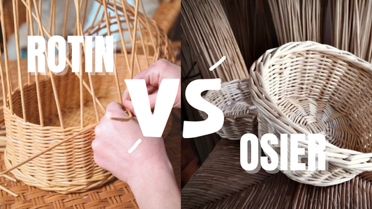 Quelle différence entre l'osier et le rotin ?