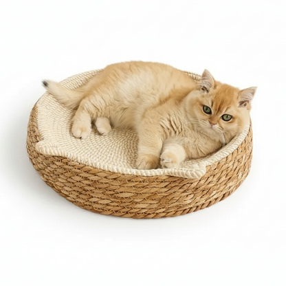 Panier pour Chat en Osier Fait Main | ARIAN