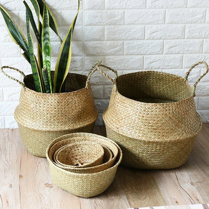 Panier en Osier Cache-Pot | SÉLIA